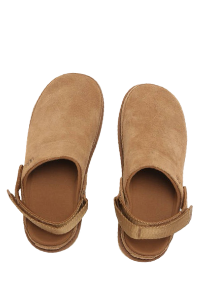 UGG Slippers Goldenstar Clog in 
Chestnut