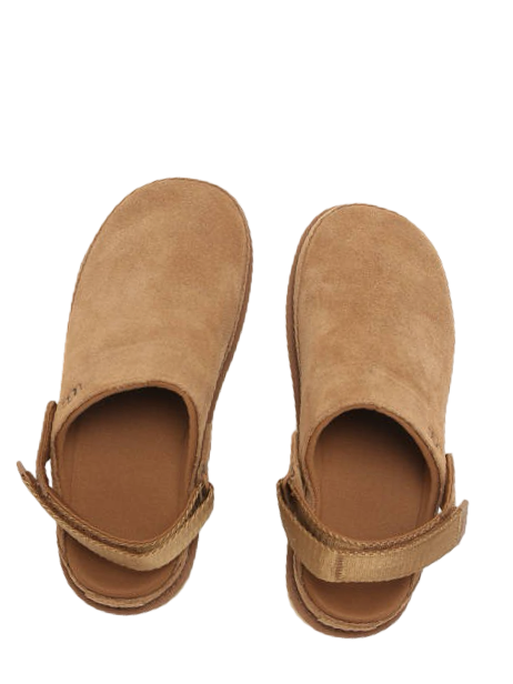 UGG Slippers Goldenstar Clog in 
Chestnut