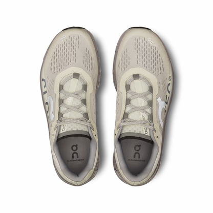 On Cloudmonster Ice/Alloy