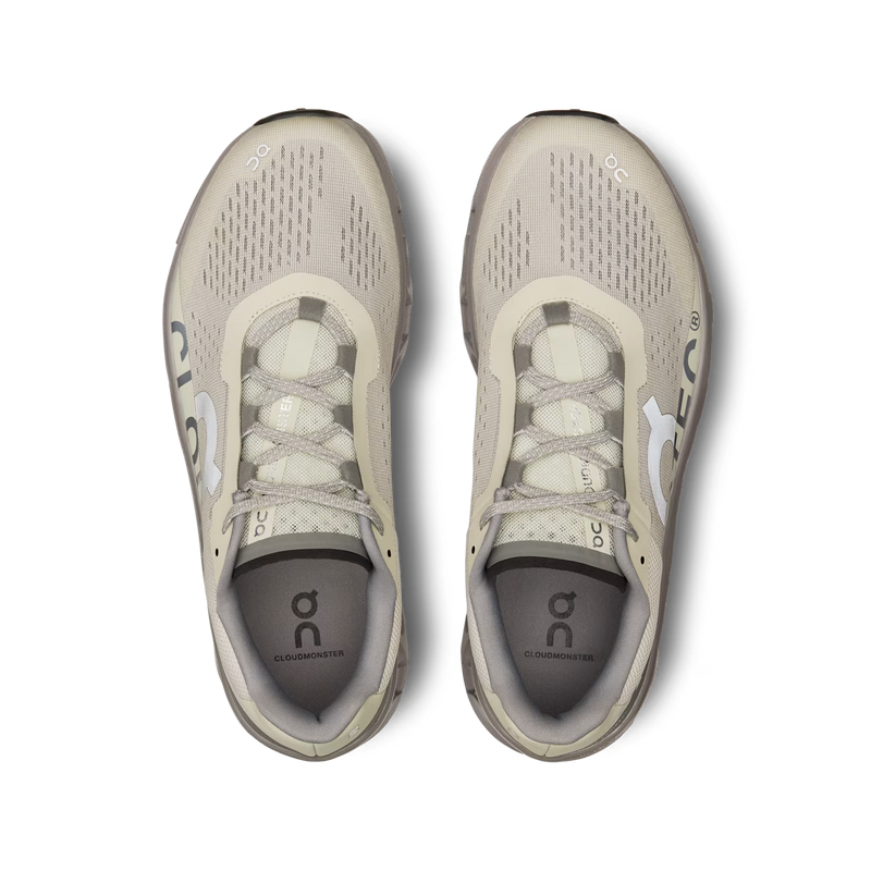 On Cloudmonster Ice/Alloy